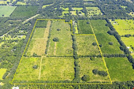 VacantLand space for Sale at Alachua Estate Preserve in Newberry