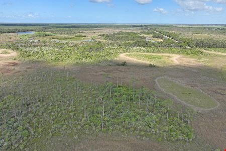 Jupiter 640 Acre Recreational Tract