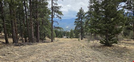 15+ Acres of Commercial Land