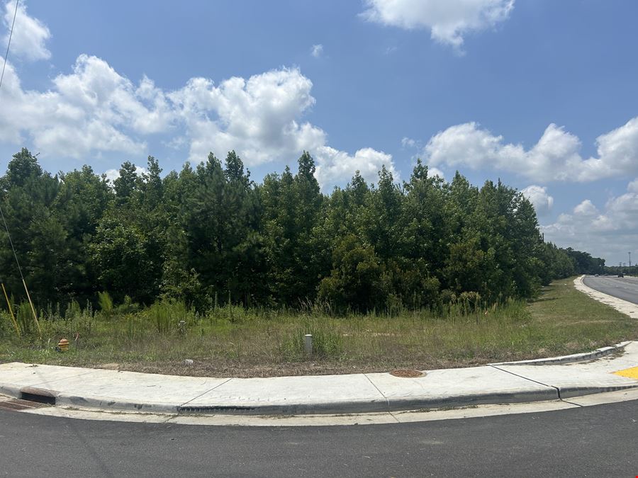 Alligator Rd