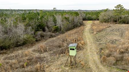 VacantLand space for Sale at Telfair Tract 1 in Milan