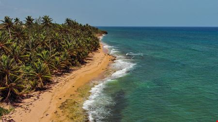 Approved Beachfront Lot Subdivision in Vega Baja - FOR SALE