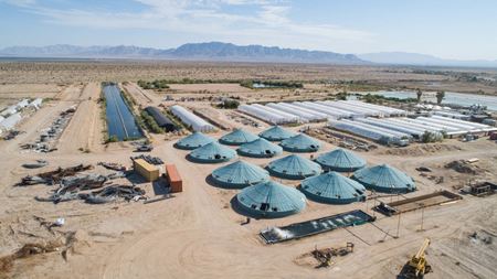 VacantLand space for Sale at Global Organic Farm, Inc. in Desert Center