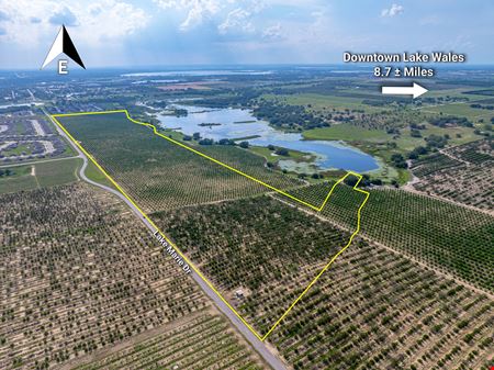 VacantLand space for Sale at Dundee Lakes Residential Land in Dundee