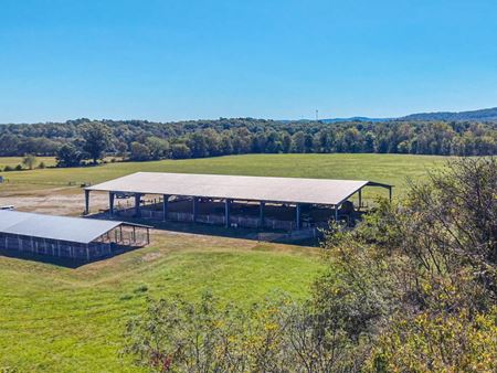 Agricultural space for Sale at 185 Acre Horse and Cattle Ranch | State-of-the-Art Facilities in Story