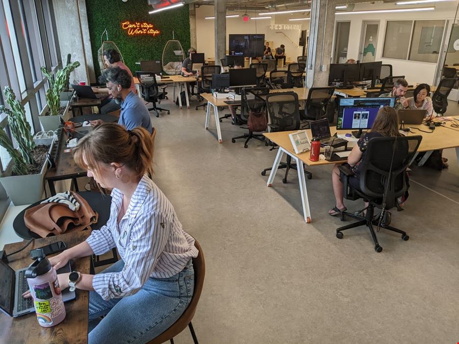 Co+Hoots - Coworking Mesa