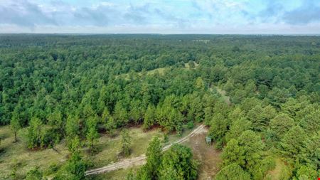 111+/- Acres of Recreational Tract Geared for Hunting on the Aiken and Barnwell County Line