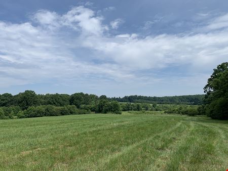 Moffitt 123 Acre Development Tract