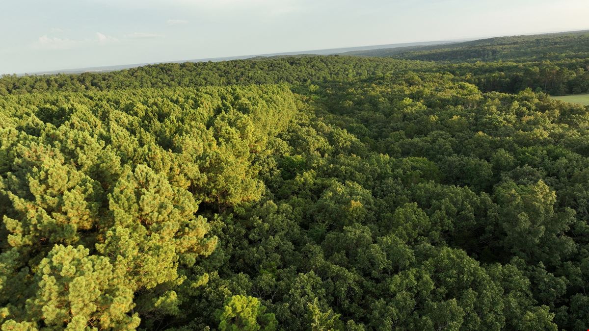 380 Acres in Crawford County Arkansas