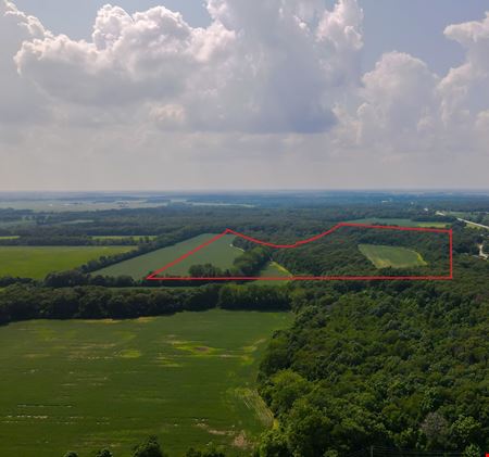VacantLand space for Sale at State Road 10 - Governmental Zoned in Demotte