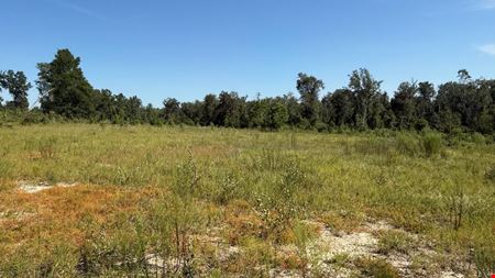 Ranch, Hunt & Invest: 236± Acres of Productive Timberland in SE Washington County