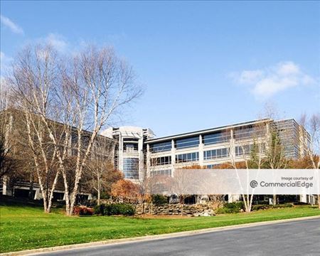 Office space for Rent at The Falls at Sanctuary Park in Alpharetta