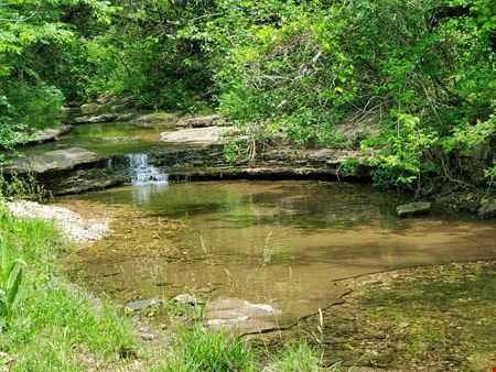 Pine Creek Ranch - Eureka Springs, AR