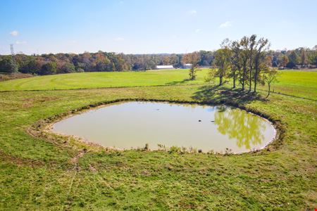 47.5 +/- AC Forest Chapel Rd