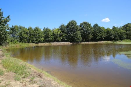 Moffitt 123 Acre Development Tract