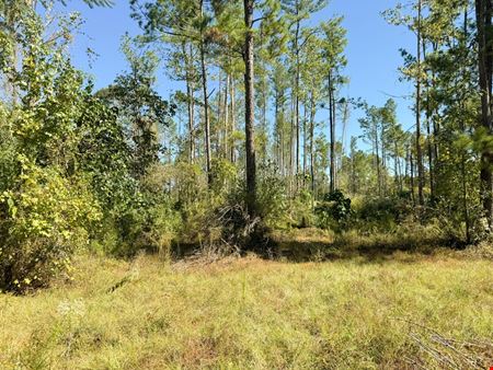 Commercial space at Land for Development | 7210 Hwy 49 North in Hattiesburg
