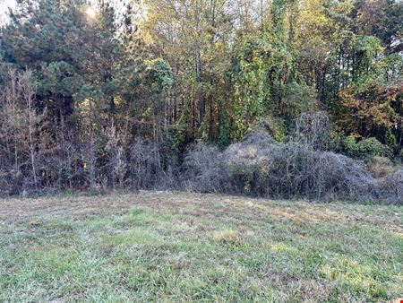 Highway 27 - 10.69 Acres