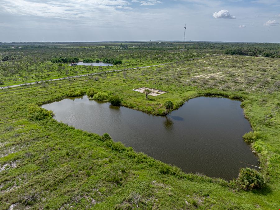 Lake Reedy Reserve