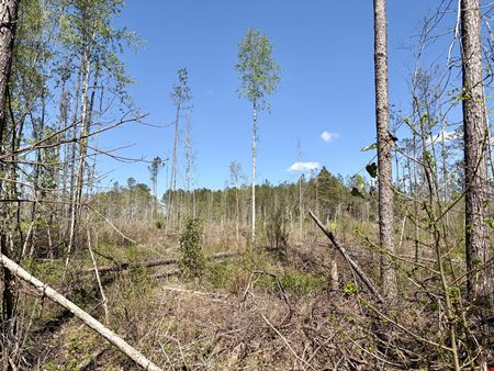 Georgiana Recreation Tract