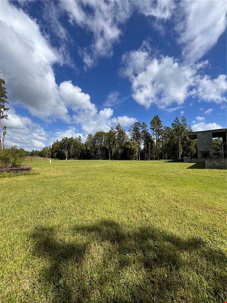 VacantLand space for Sale at 4.7 AC, Multi-Use Development Site, Directly on Van Dyke Rd, Lutz in Lutz