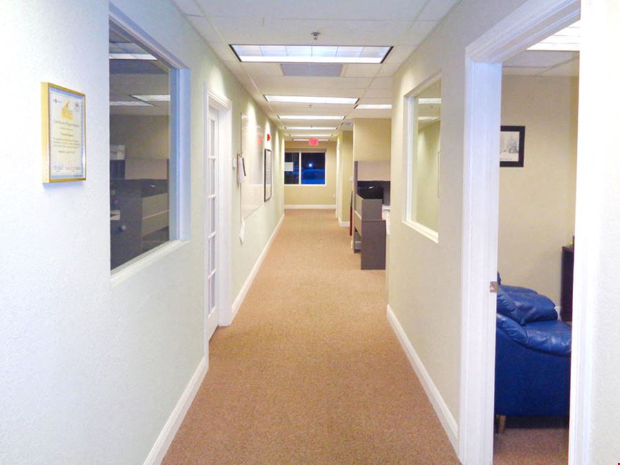 Professional Office