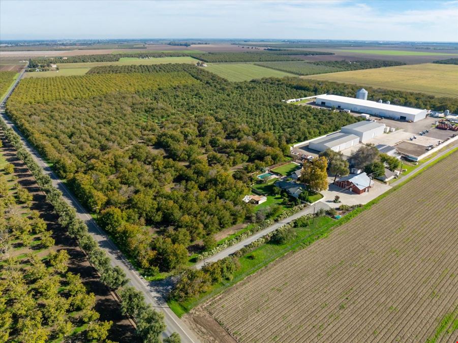 Organic Walnut Orchard & Processing Facility
