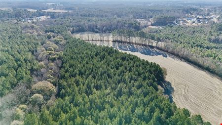 Johnston County 50 ± Acres on Hwy 301