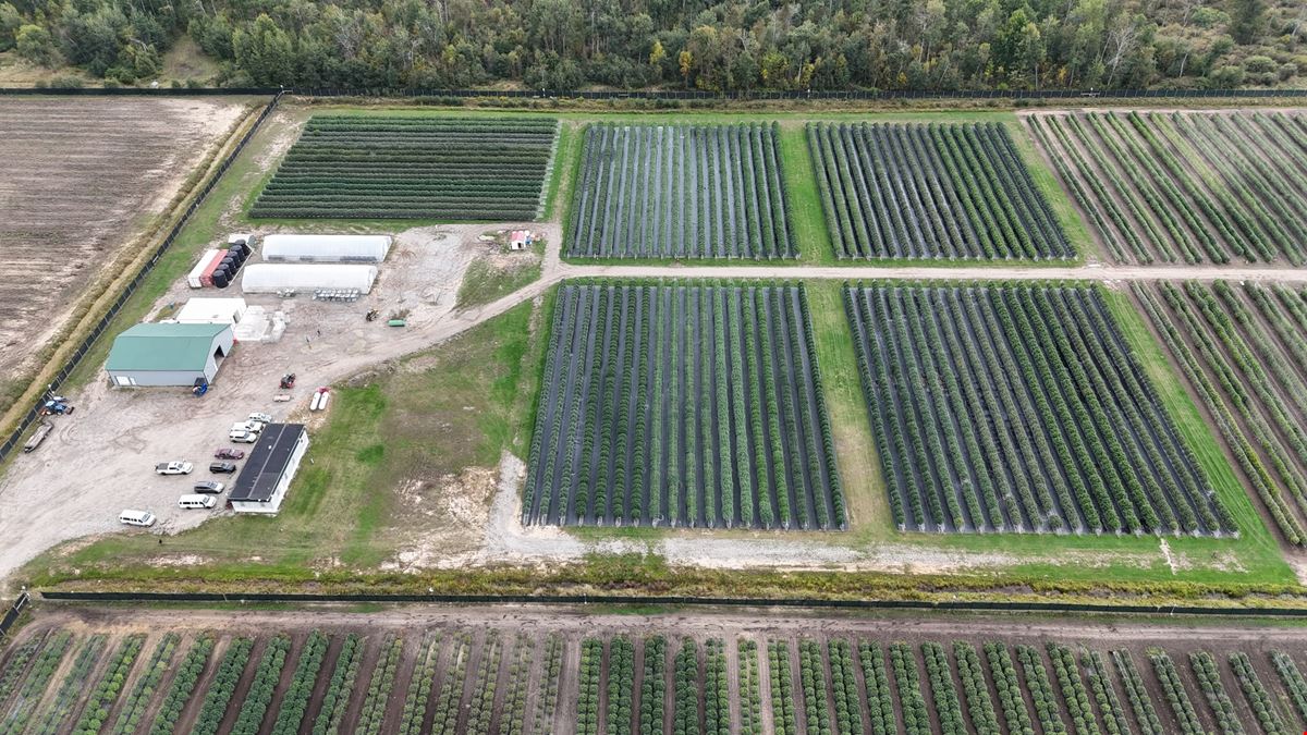 Tawas City - Former Operating/Turnkey Cannabis Outdoor Cultivation Operation