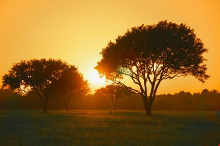 VacantLand space for Sale at 31.25 Sunset, TX - NO ZONING in SUNSET