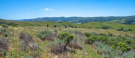 VacantLand space for Sale at Santa Rita Ranch in Lompoc