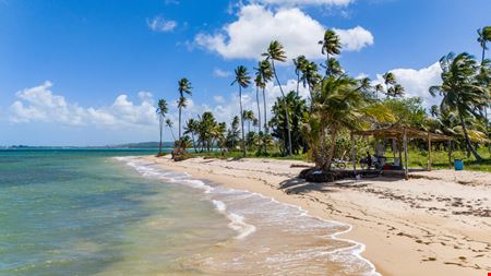 Loiza Beachfront Developable Land - For Sale