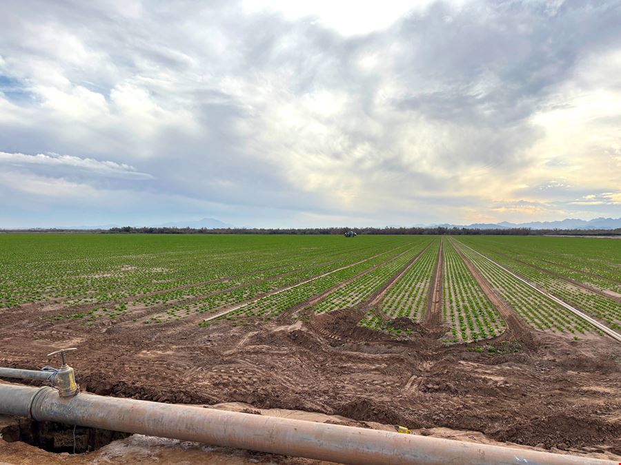 74.7 Water Acres, Corner of S Avenue 29 E and County 7 1/2 ST S