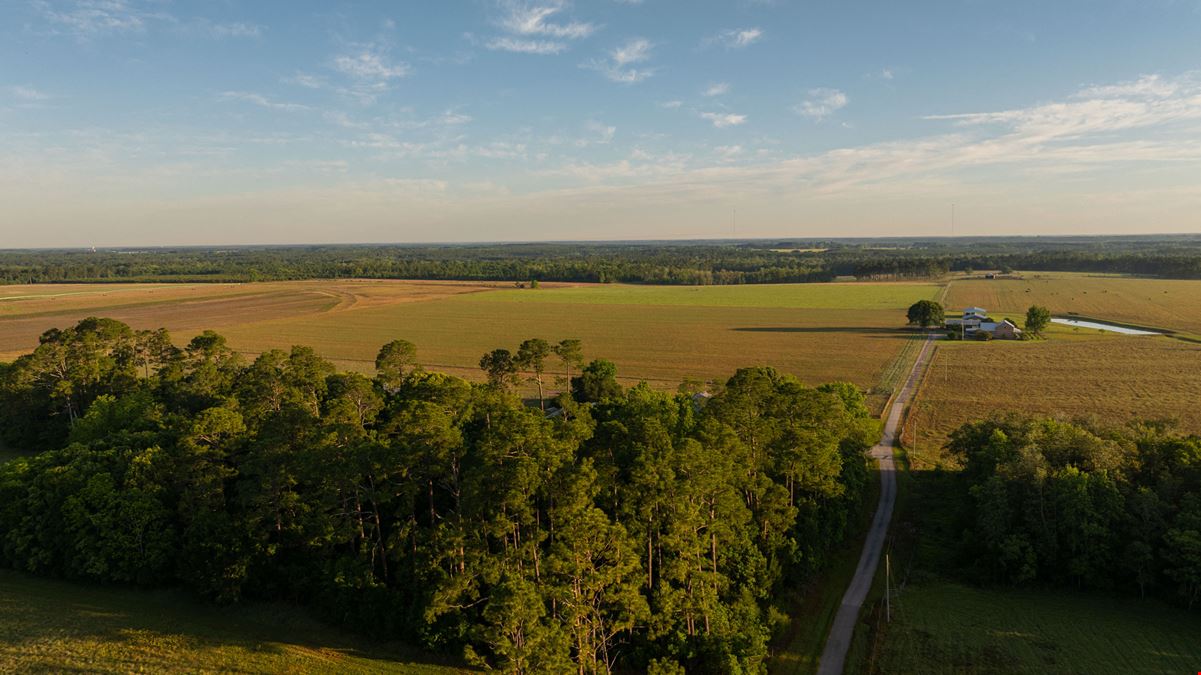 24795 County Road 32