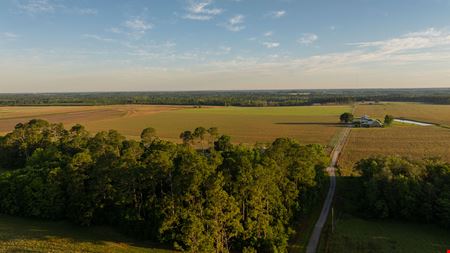 24795 County Road 32