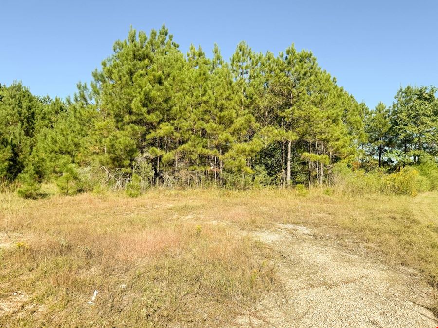 Tyner Road 