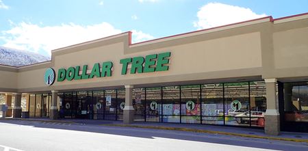 Retail space for Rent at Ridgeview Plaza in Bluefield