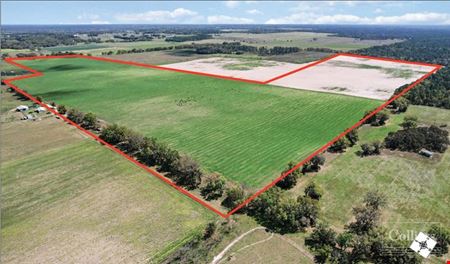 Other space for Sale at For Sale: 190 Acres | Dunnellon, FL in Florida 34431