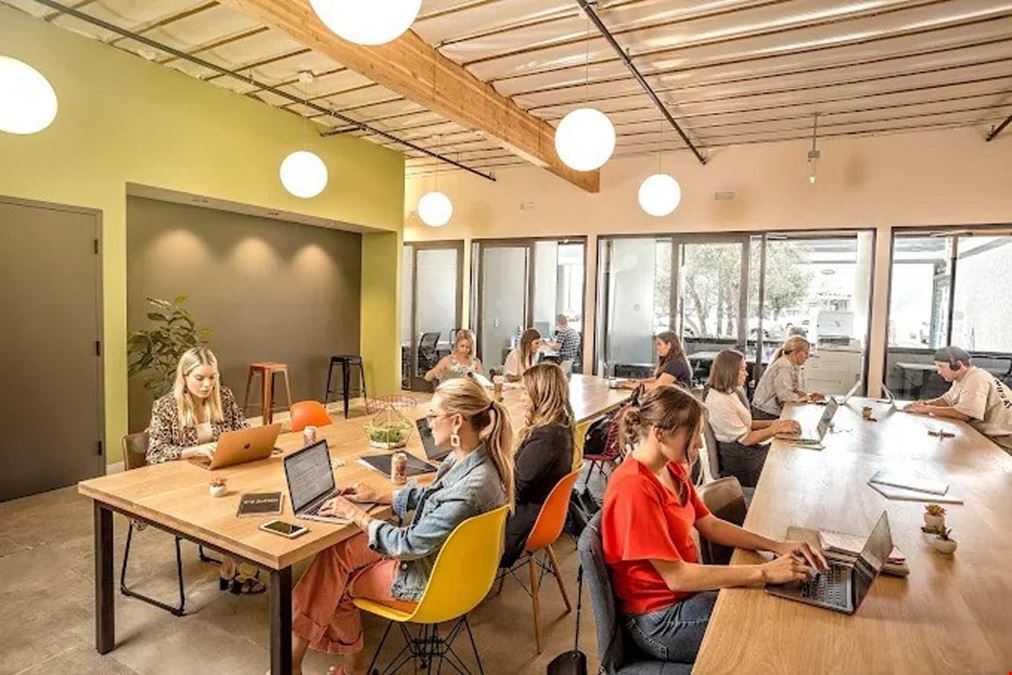 Bizhaus - Costa Mesa