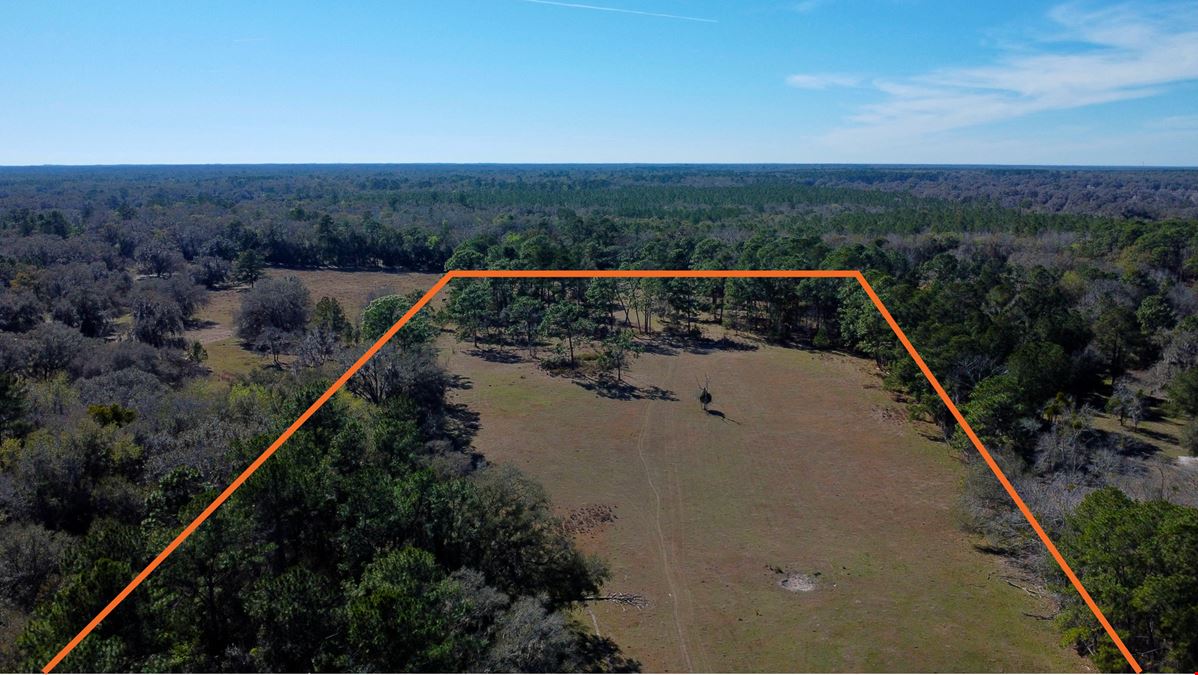 29 Acres in Horse Country
