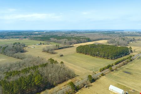 Delmar Agricultural 35.88+/- Acres