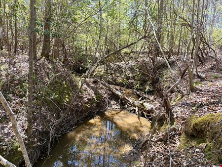 Georgiana Recreation Tract