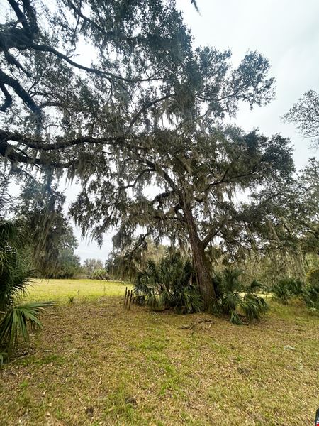 Citrus County Ranch and Recreational Tract