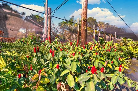 Unassigned space for Sale at Nursery Plants & Trees - Asset Sale Only in Miami