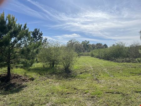 28 ± Acre Patterson Road Tract