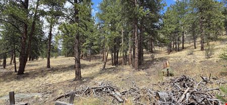 15+ Acres of Commercial Land