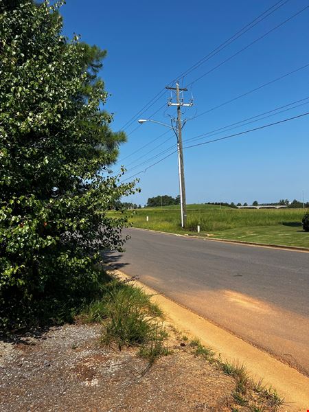 40 Acres For Lease or Sale Lincoln AL