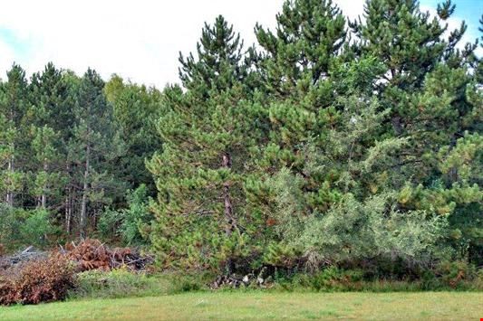 Lot 2 Sundance Drive