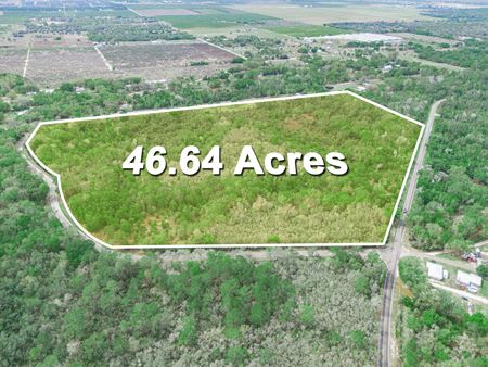 VacantLand space for Sale at 47± Scenic Wooded Acres with Trails, Wildlife, and Lake Access in Lake Wales