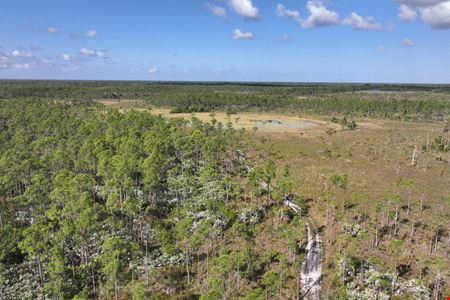 Jupiter 640 Acre Recreational Tract