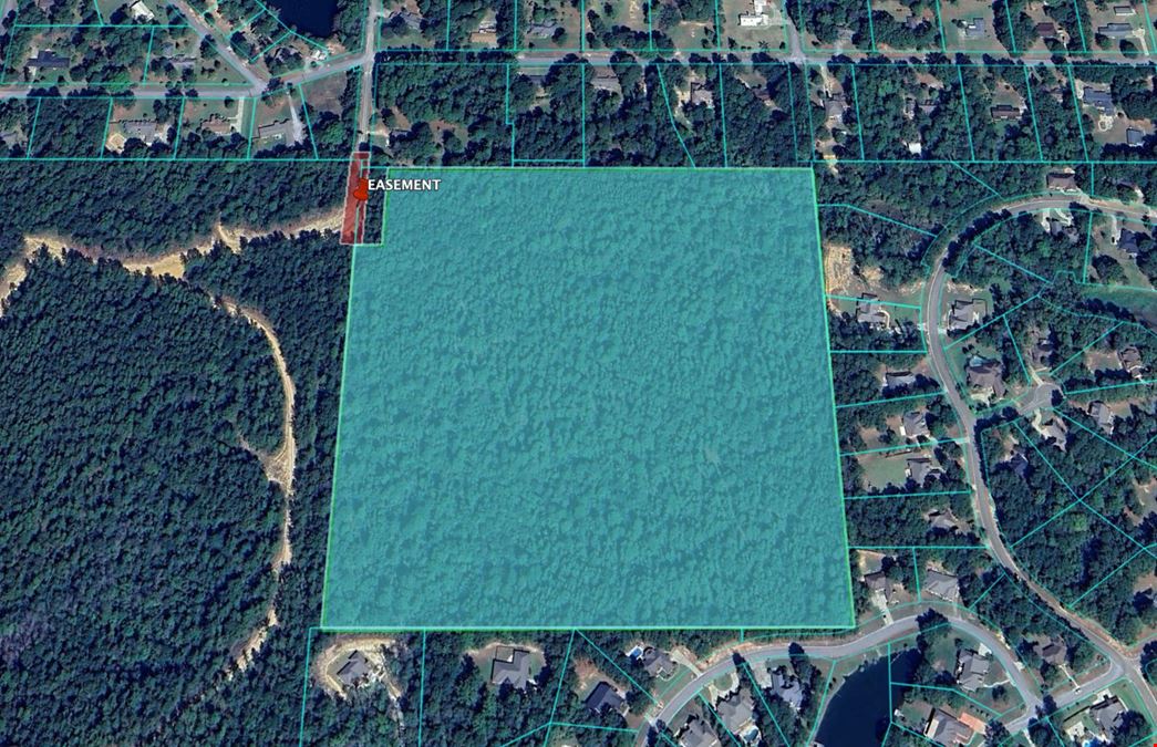 Cypress Lake 38 Acres